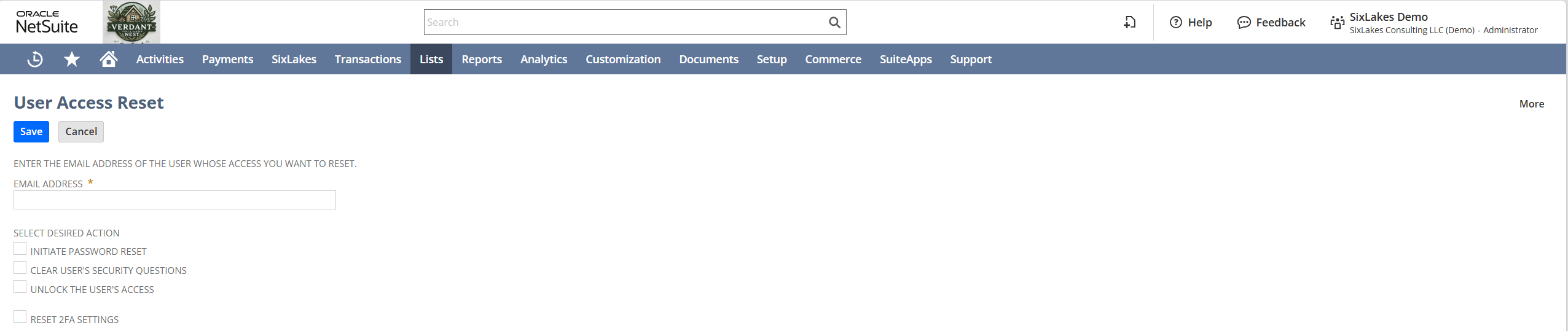 Screenshot of NetSuite User Access Reset Tool